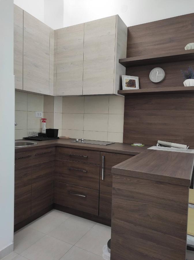 Studio Apartman Dani Banja Koviljača Exteriör bild
