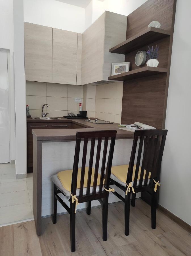 Studio Apartman Dani Banja Koviljača Exteriör bild